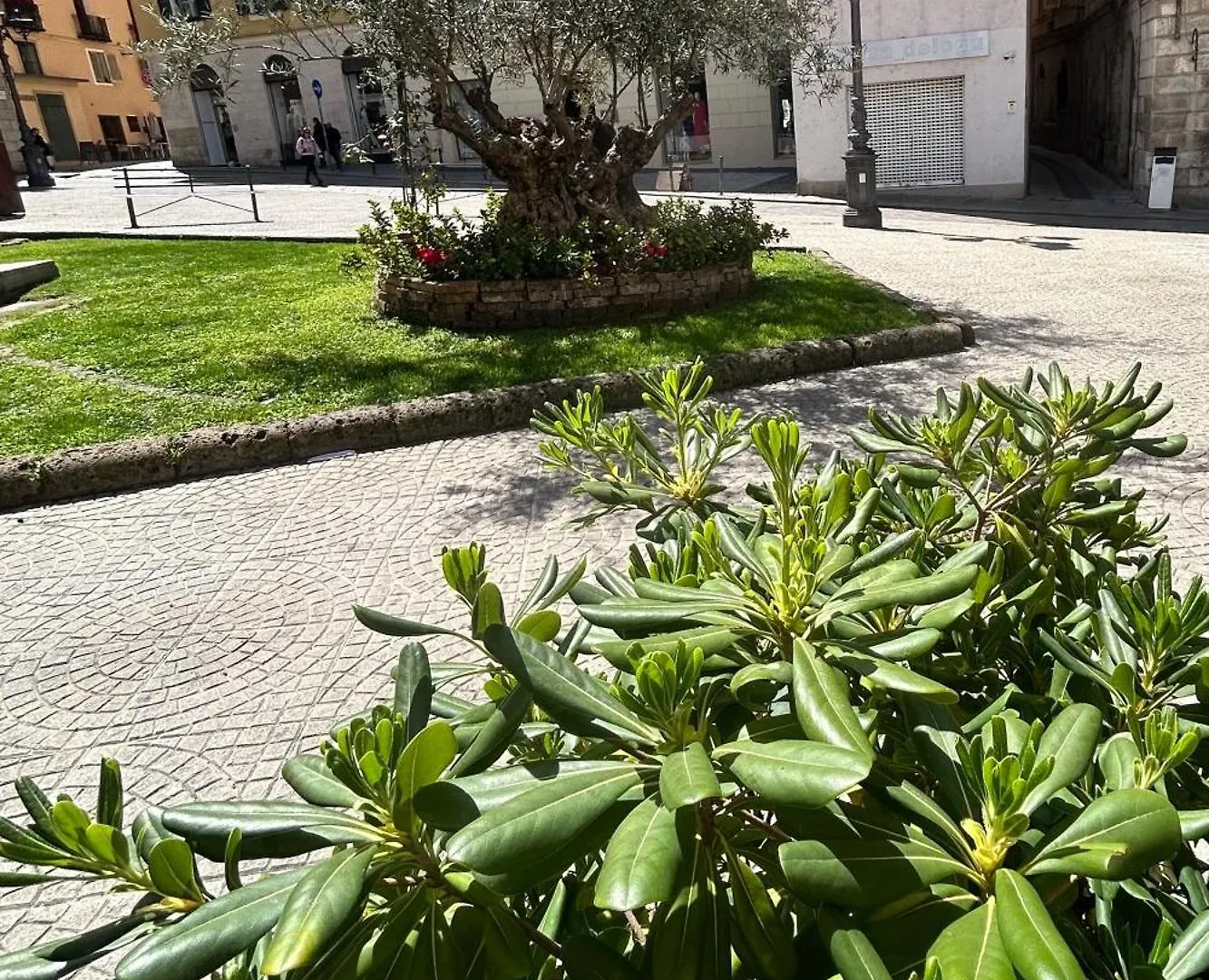 Mariposa Sassari Apartman